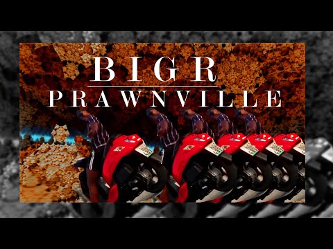 BIGR - PRAWNVILLE