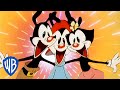 Animaniacs Best Songs Classic Cartoon Compilation WB Kids