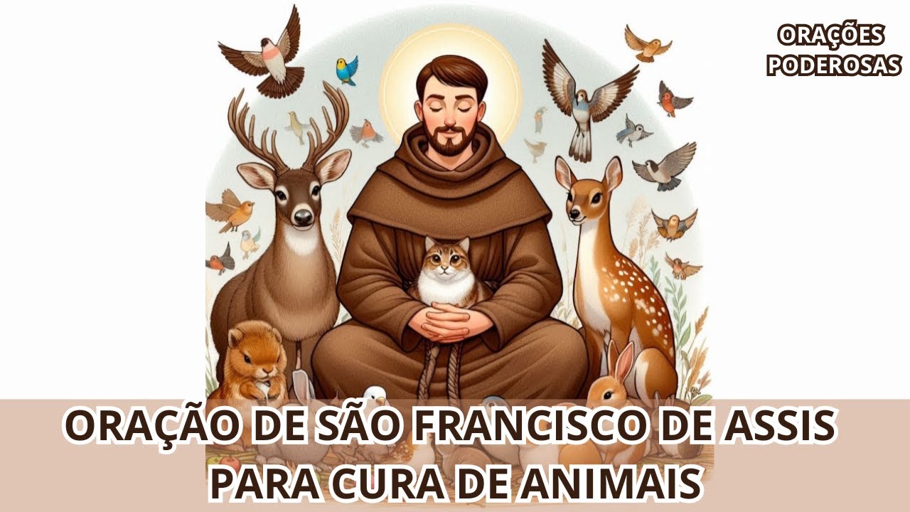 ORAÇÃO DE SÃO FRANCISCO DE ASSIS PARA CURA DE ANIMAIS🐶🐱🦜 - INSCREVA-SE NO CANAL🙏