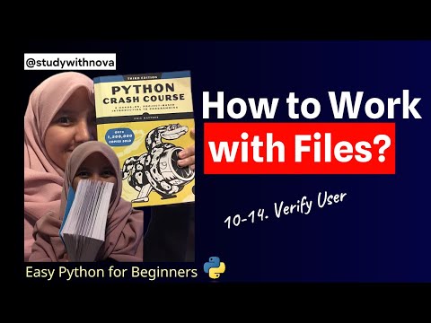 80 Lets Code Python Crash Course Studywithnova