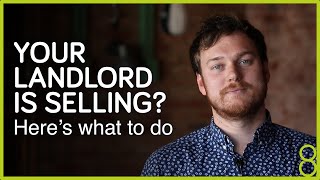 What to do when your landlord wants to sell