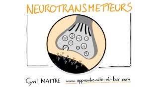 Vignette de NEUROSCIENCES EN DESSINS : Les neurotransmetteurs