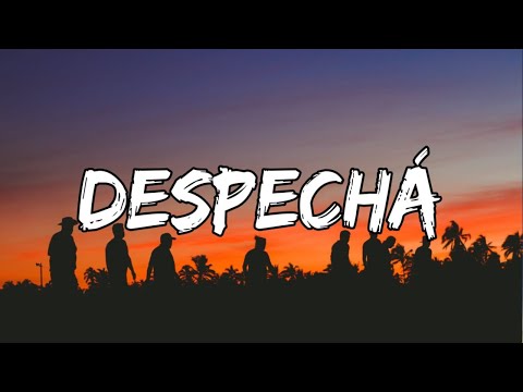 ROSALÍA - DESPECHÁ (Letra/Lyrics) | Baby, no me llames que yo estoy ocupá olvidando tus males