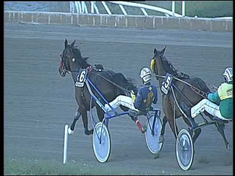 Trotto 03/03/2017 - 6ª corsa