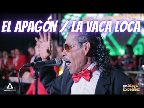 El Apagón / La Vaca Loca - Marimba Orquesta Maya Excelsior Concierto Virtual 2020