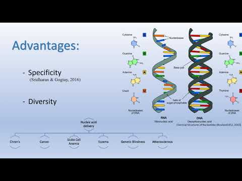 Nucleic Acid Delivery for Disease Therapy Complete