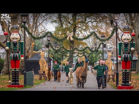 Season’s Greetings from ZSL!