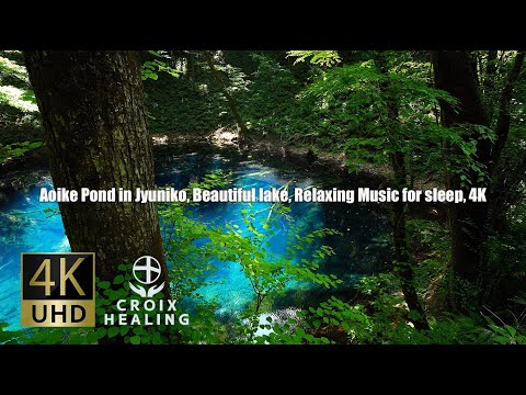 高音質 高画質 癒し4k動画のyoutubeチャンネル Croix Healing から癒やしの楽曲を編成したスペシャルアルバムが完成 Newscast