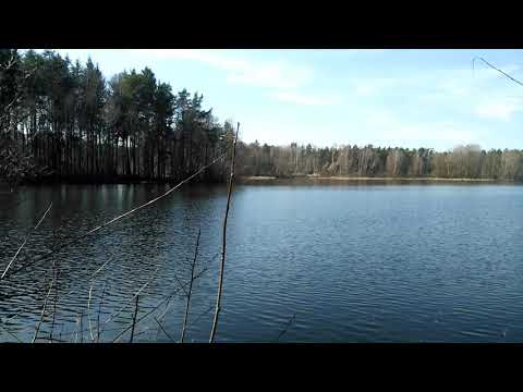 Kleine Filzteich Erzgebirge