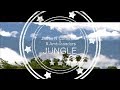 Jungle - Jamie N. Commons & X Ambassadors ...