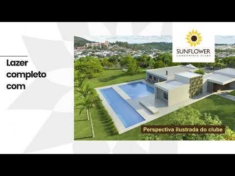 Sunflower - Cotia SP