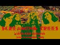 Screaming Trees-Lines And Circles (Live in Germany 1989)