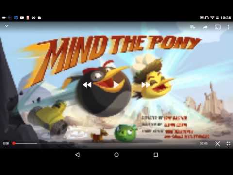 Angry birds toons (mind the pony)