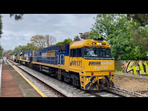 Pacific National Freight - 6MP5 - NR17, NR115, NR95