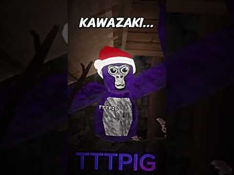 Meet The Squad… ​@TTTPig @OfficialMosa @h4kpy @M3ltVr #gorillatag #vr #gtag #edit