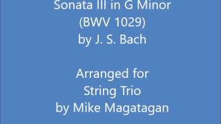 Sonata III in G Minor (BWV 1029) for String Trio