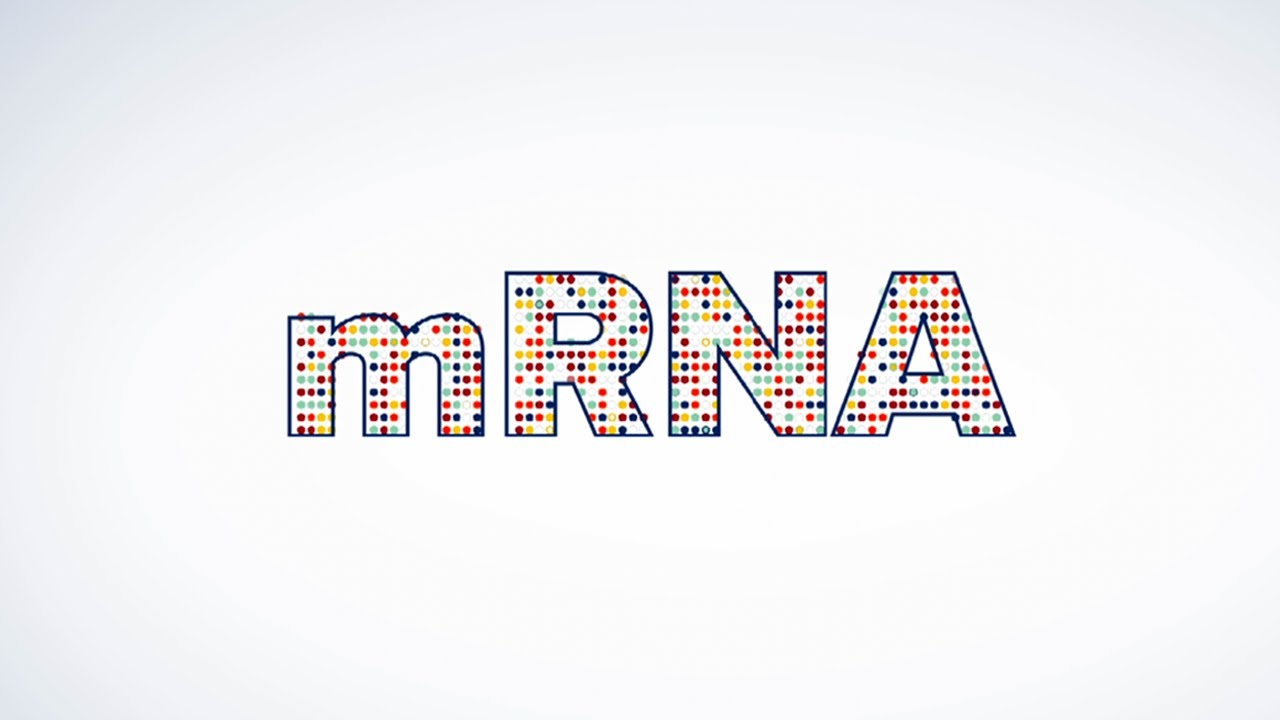 Watch video titled How mRNA Vaccines Work Penn Medicine Explains YouTube video on YouTube