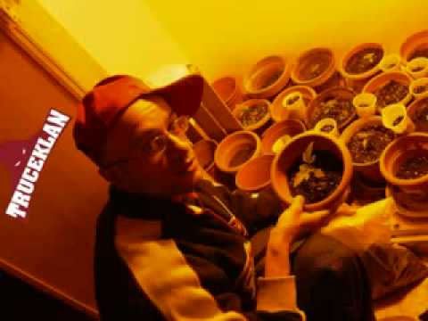 Me ne sbatto er cazzo - Chicoria ztk - Violent TRUCEKLAN