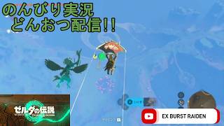 どんおつ配信「ゼルダの伝説 ティアーズオブザキングダム」22