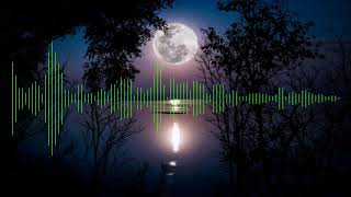 Groove Coverage - Moonlight shadow Remix