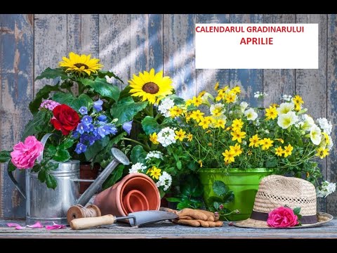 , title : 'Calendarul grădinarului pentru luna aprilie- ce semănăm și ce plantăm in grădină'