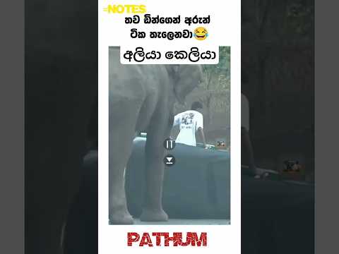 අපරාදේ වාහනේ #shorts #subscribe #viral #trending #srilanka