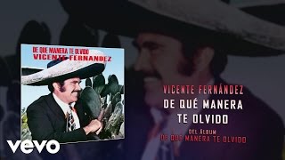 Vicente Fernández - De Qué Manera Te Olvido (Audio)