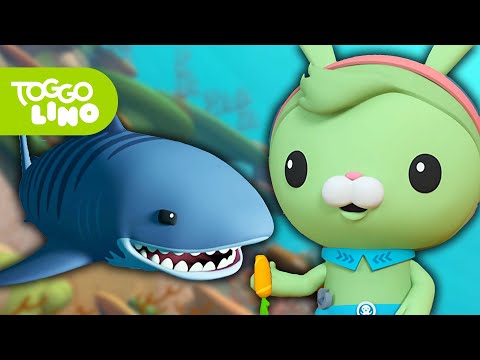 Die Oktonauten und der Tigerhai | Ganze Folge Deutsch | Toggolino Serien