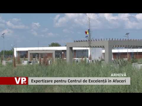 Expertizare pentru Centrul de Excelență în Afaceri