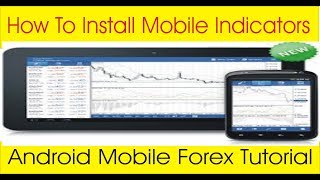 Tani forex h1 indicator
