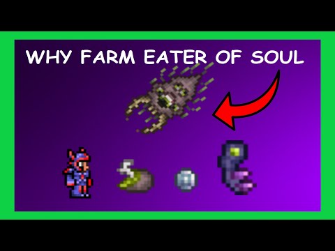 Terraria Eater of Souls EASY Farm!