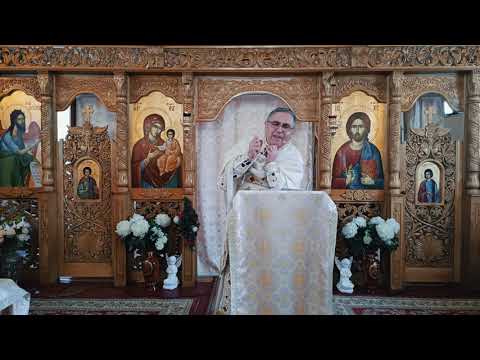 Fr. Nicolae Pavel - Spiritual Life - Routine or reality with Christ?