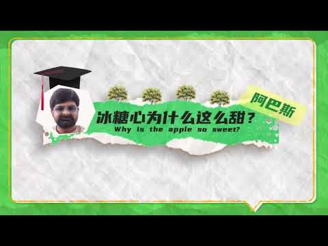 Xinjiang Filled with Nature, The Xinjiang Apple Heaven (新疆充满自然，新疆苹果天堂) #china #xinjiang #explore