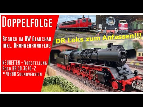 Besuch Bw Glauchau + Sandzug BR 50 3670-2 DR Roco #78288