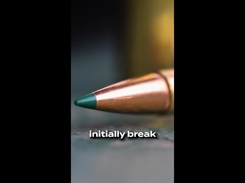 Remington Core-Lokt -The Deadliest Mushroom In The Woods