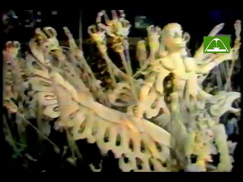 Beija-flor de Nilópolis 1981 (Globo)