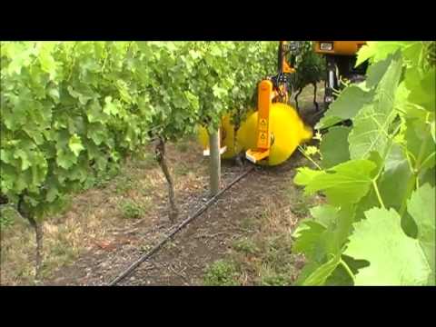 Ekidna Shoot Remover