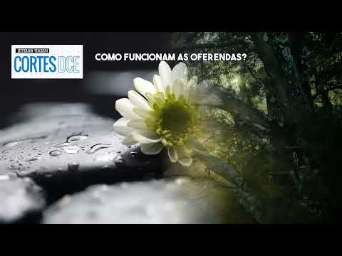 Cortes DcE #677 -Como funcionam as oferendas- Caboclo Sete Pedreiras