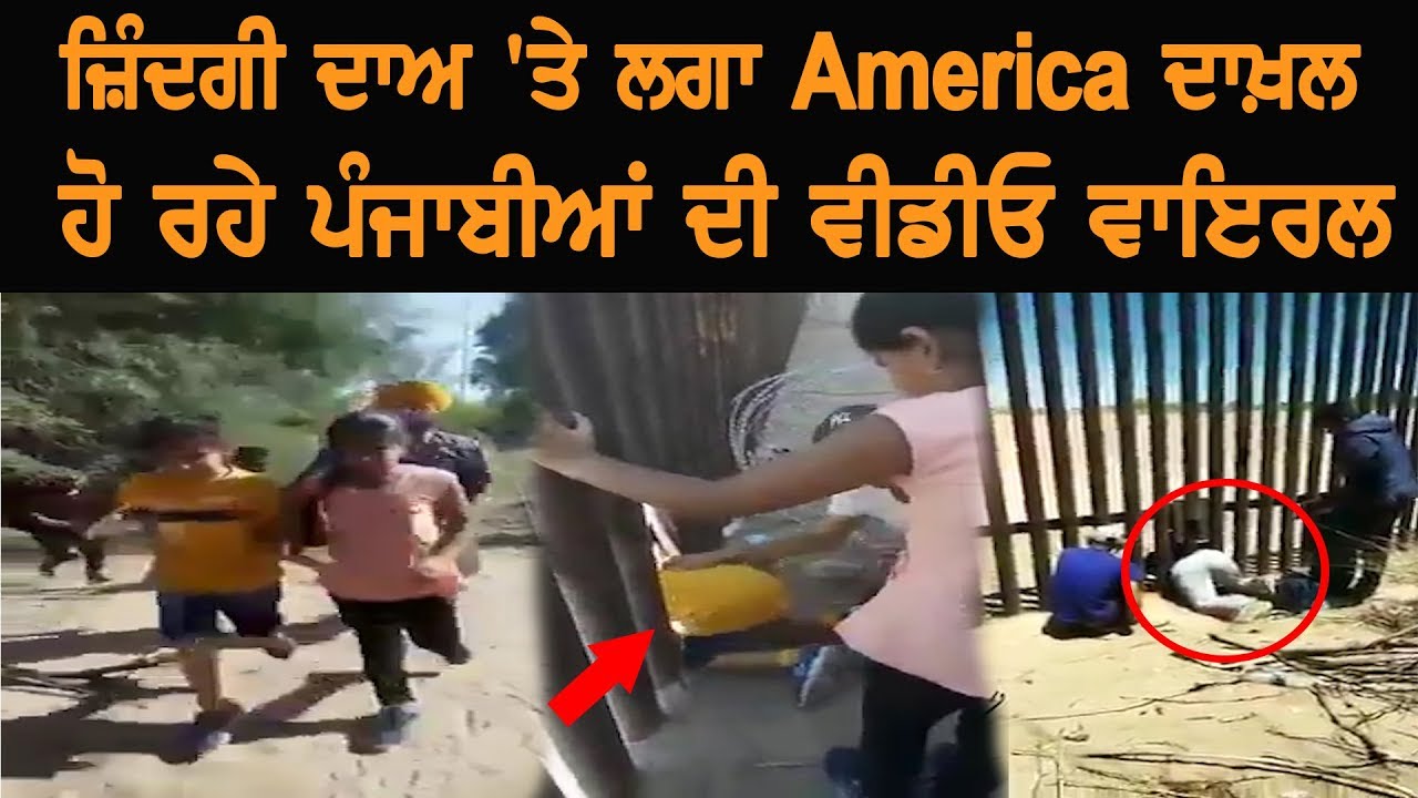 Video viral of Punjabis entering America at stake Video viral of Punjabis entering America at stake