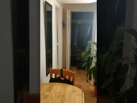 287 Harvard st, Cambridge unit 31