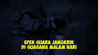 Download lagu Efek Suara Jangkrik Di Suasana Malam Hari mp3 Download lagu Efek Suara Jangkrik Di Suasana Malam Hari mp3