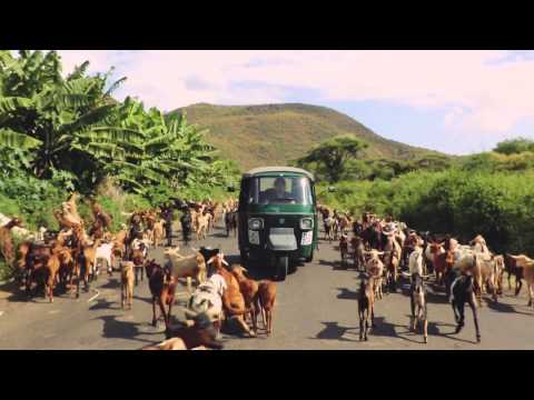 Roo Panes - Open Road