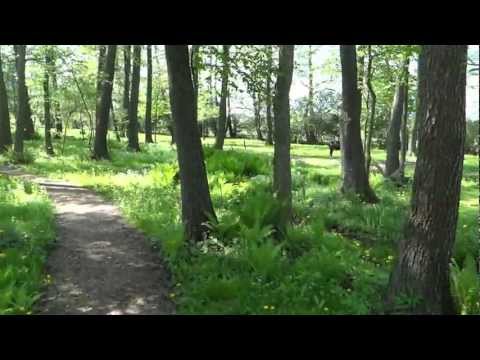 Agroturystyka Nad Rzeczką - ogród (weekend majowy 2012)