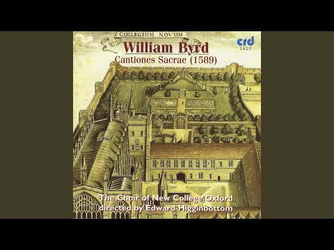 Cantiones Cacrae: Vide Domine afflictionem