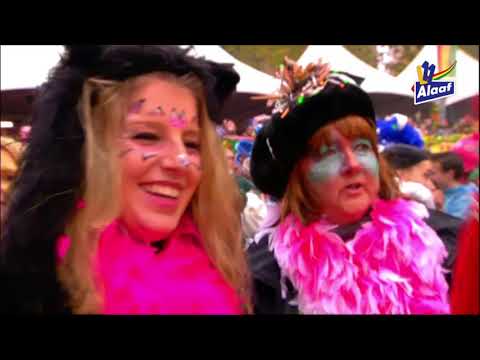 De11devande11de 2017: Shakin' DJ's -  Shirt oet en zweije