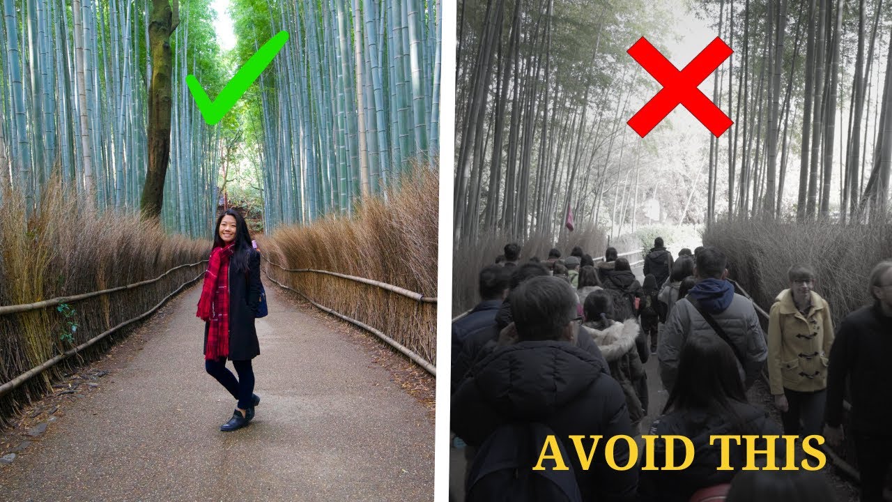 Tips to know before visiting Arashiyama Bamboo Forest!