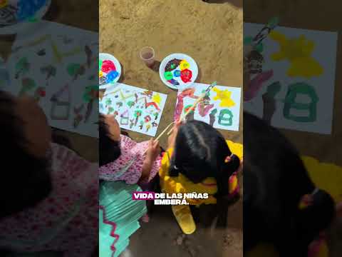 Así fue mi visita al Resguardo Unificado Emberá Chamí en Pueblo Rico, Risaralda ⛰️💚