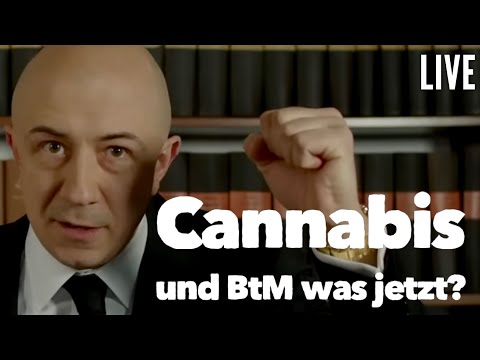 Wie geht es weiter mit CanG und BtMG? Was ändert sich im Strafrecht? LIVE