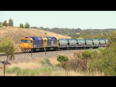 7726V Pacific National Grain Train (22/11/2017) - PoathTV Australian Trains & Railways