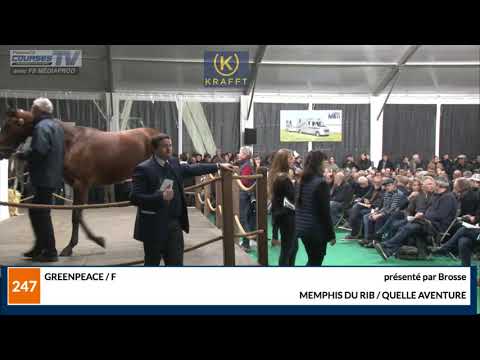 Top price des Ventes Arqana Trot : Greenpeace 410.000€